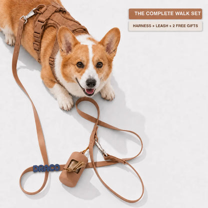 The MONTI Corgi Harness