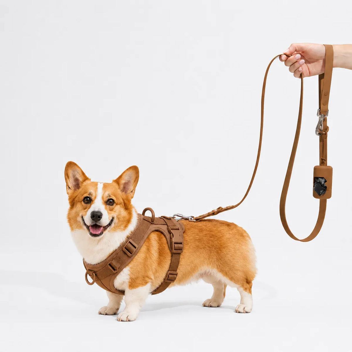 The MONTI Corgi Harness