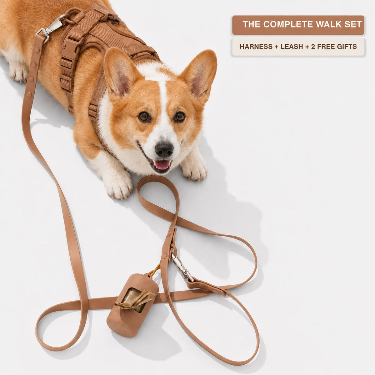 The MONTI Corgi Complete Walk Set