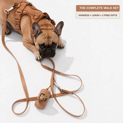 The MONTI Frenchie Harness