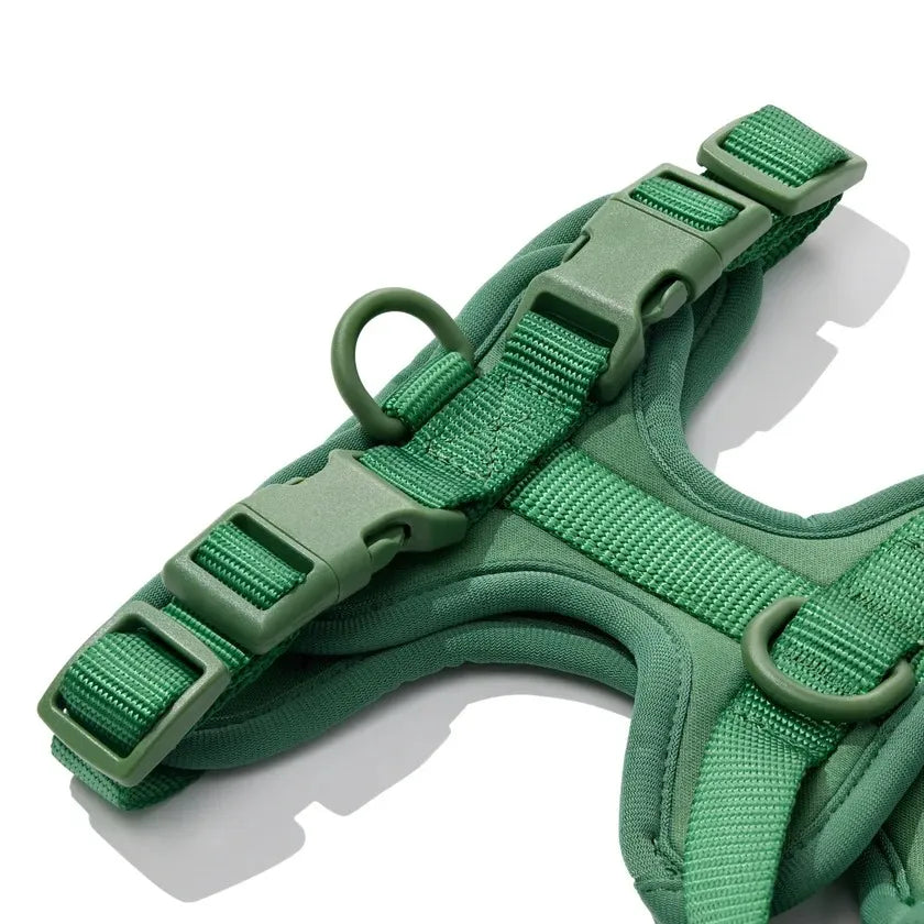The MONTI Corgi Harness